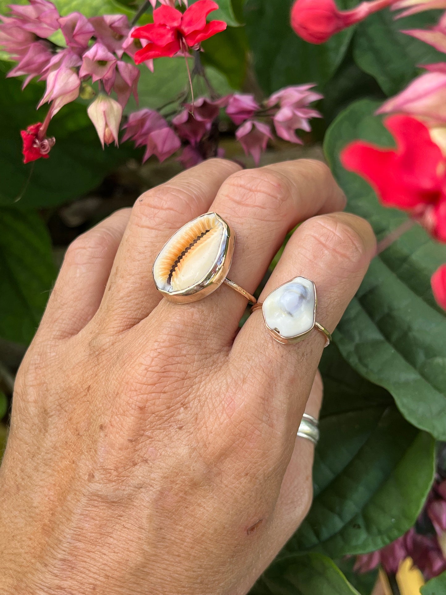Hawaiian Money Cowrie Gold Ring