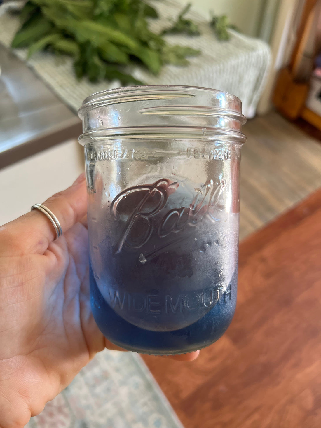 Butterfly Pea Flower 🪻