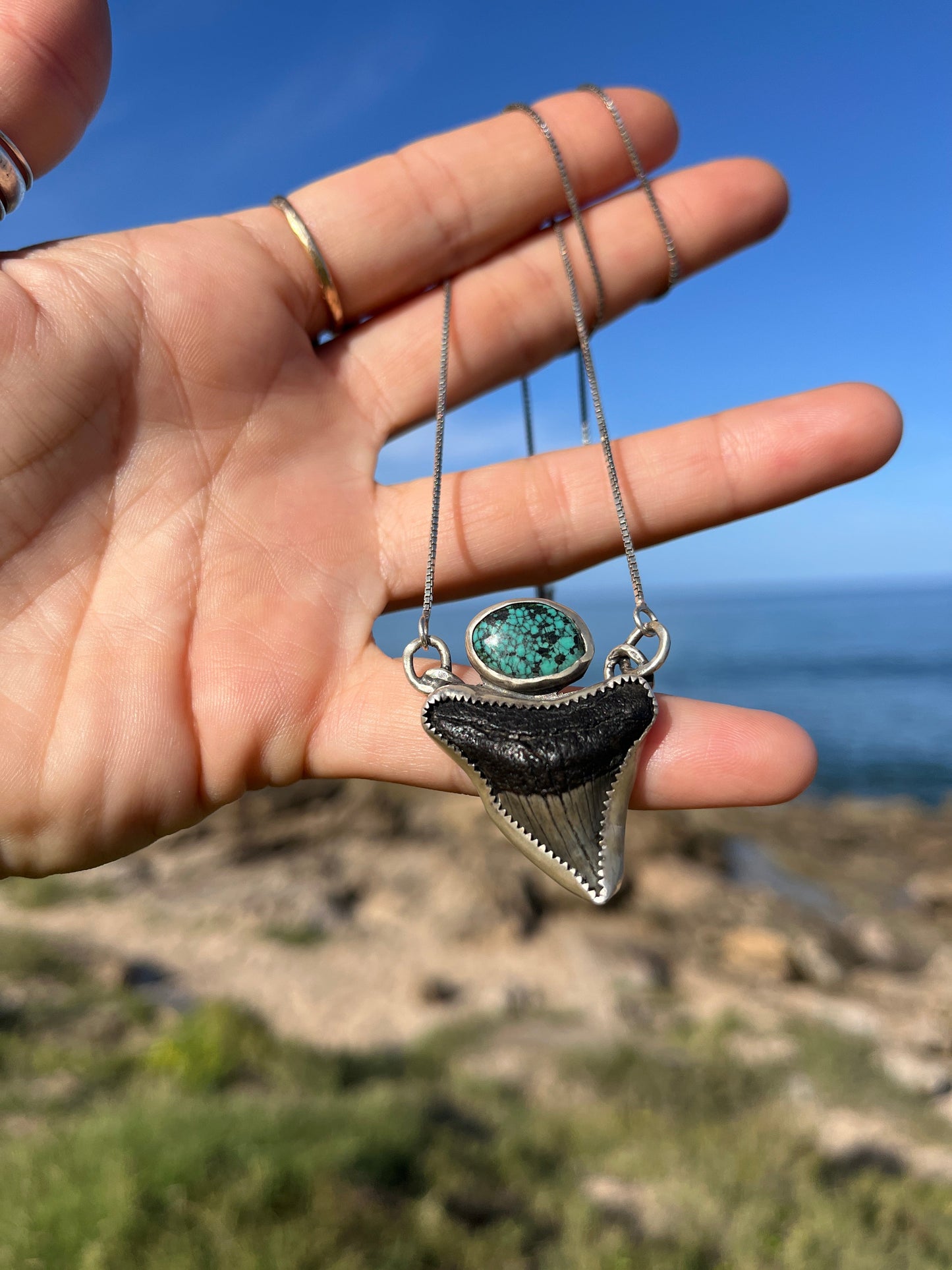 Hand Forged Shark Tooth & Turquoise Necklace