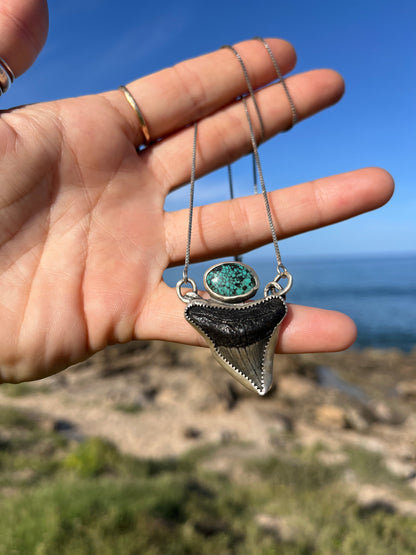 Hand Forged Shark Tooth & Turquoise Necklace