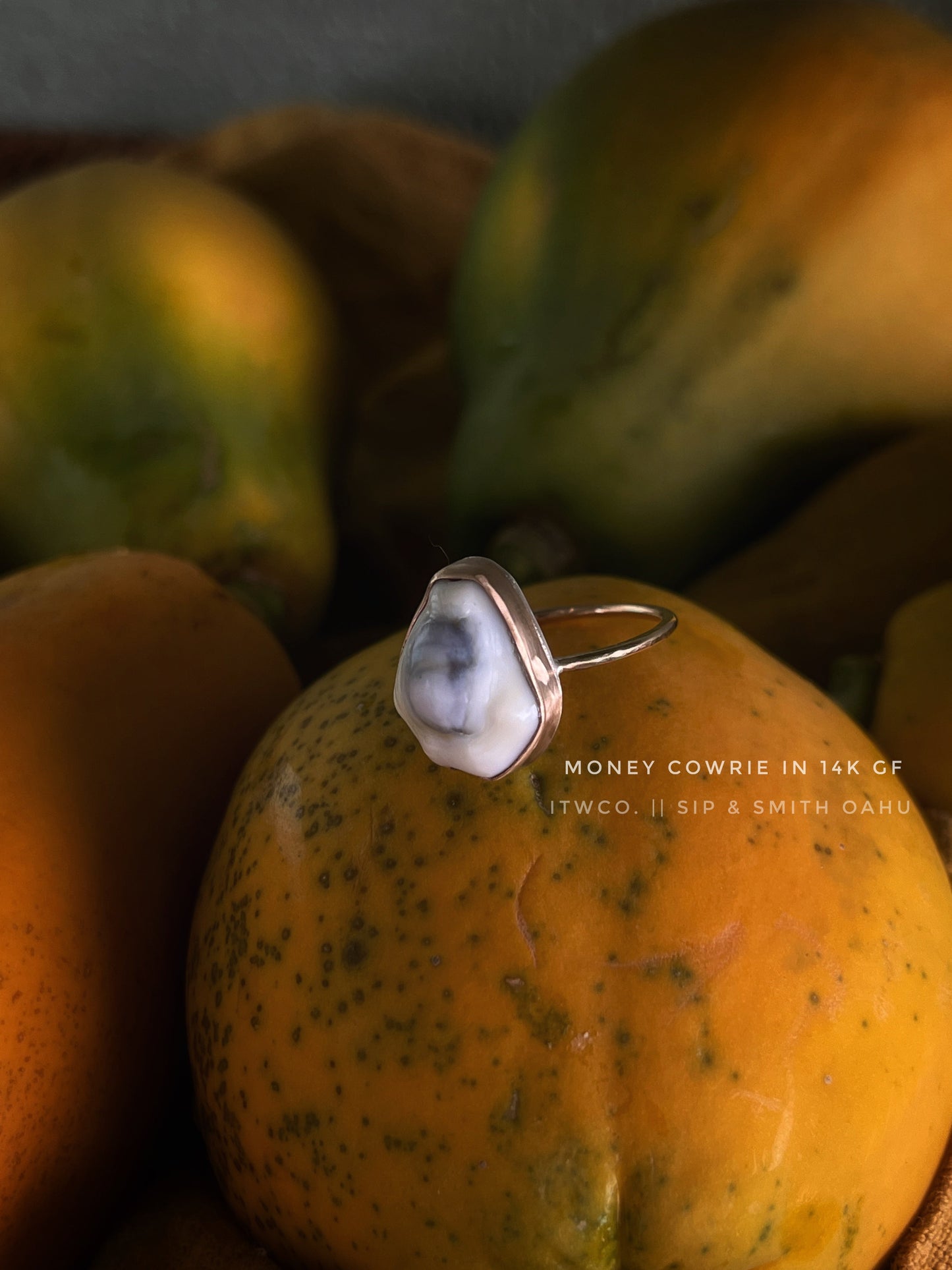 Sip & Smith OAHU || DIY Bezel Ring Making in 10 easy steps *ONLINE SILVERSMITH COURSE