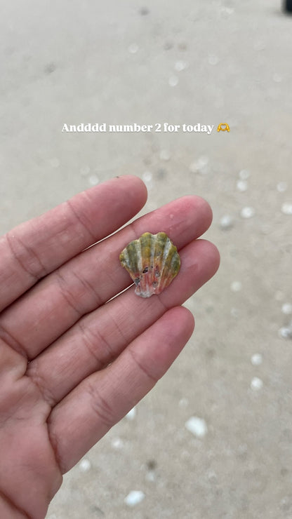 Private Group Workshops