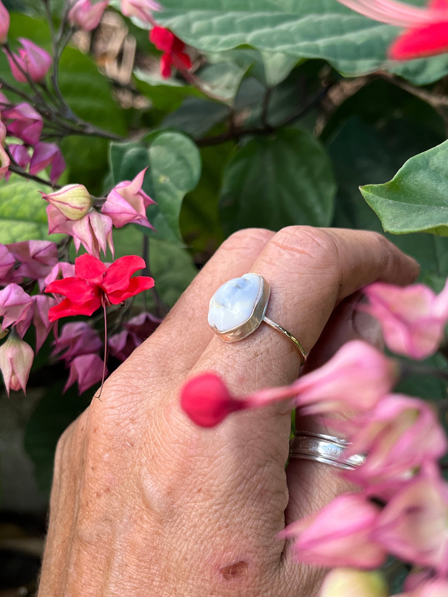 Hawaiian Money Cowrie Gold Ring