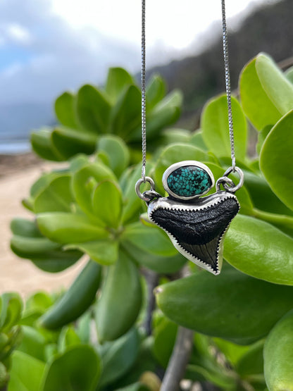 Hand Forged Shark Tooth & Turquoise Necklace