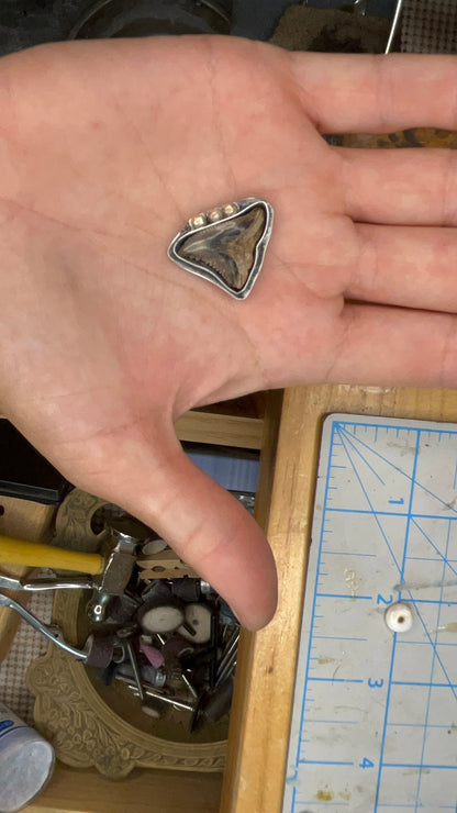 Rough Around The Edges