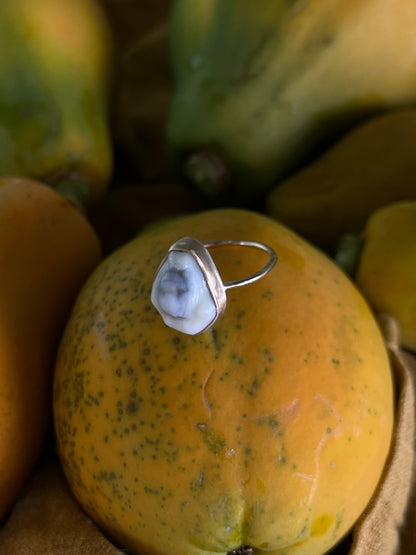 Hawaiian Money Cowrie Gold Ring