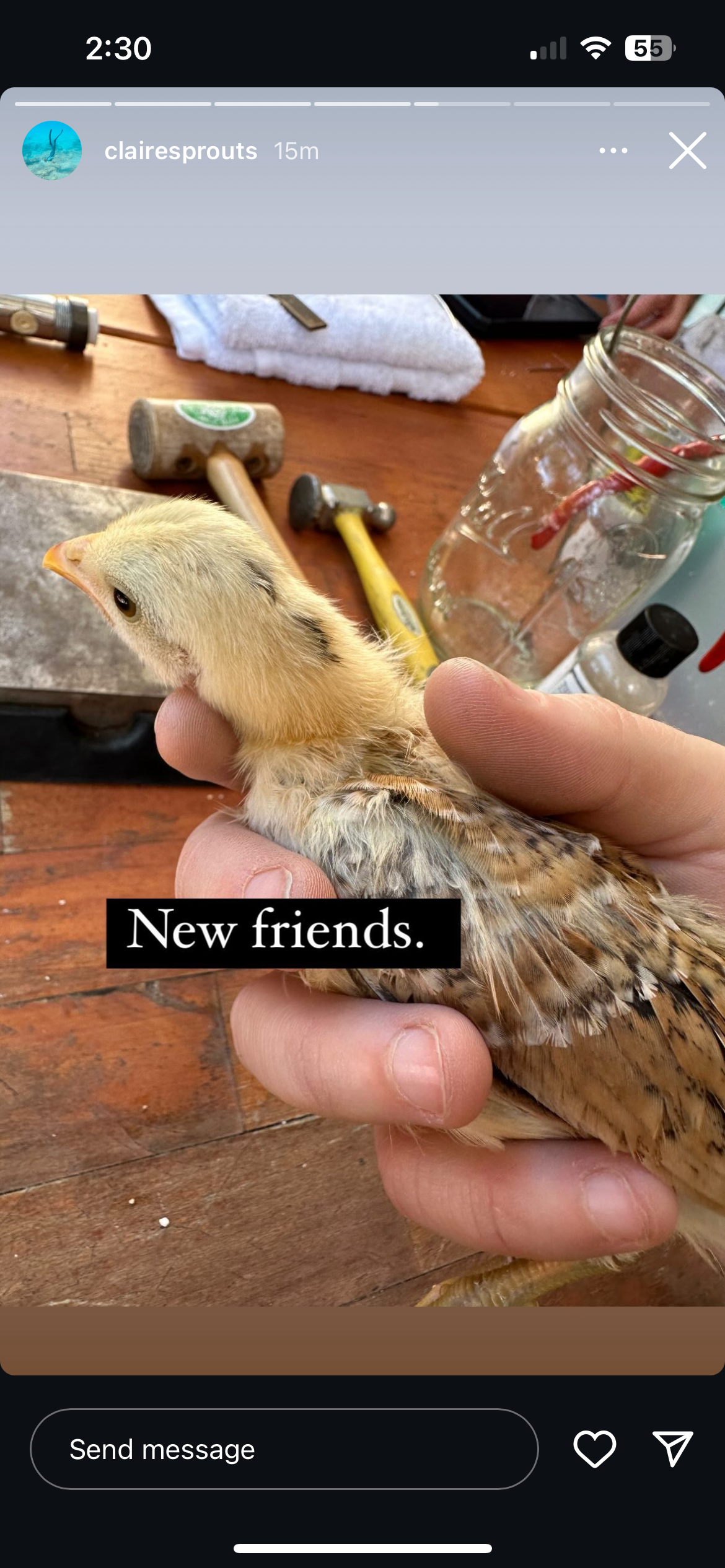 Private Group Workshops