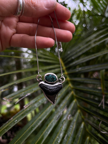Hand Forged Shark Tooth & Turquoise Necklace