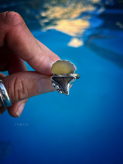 Private Group Workshops