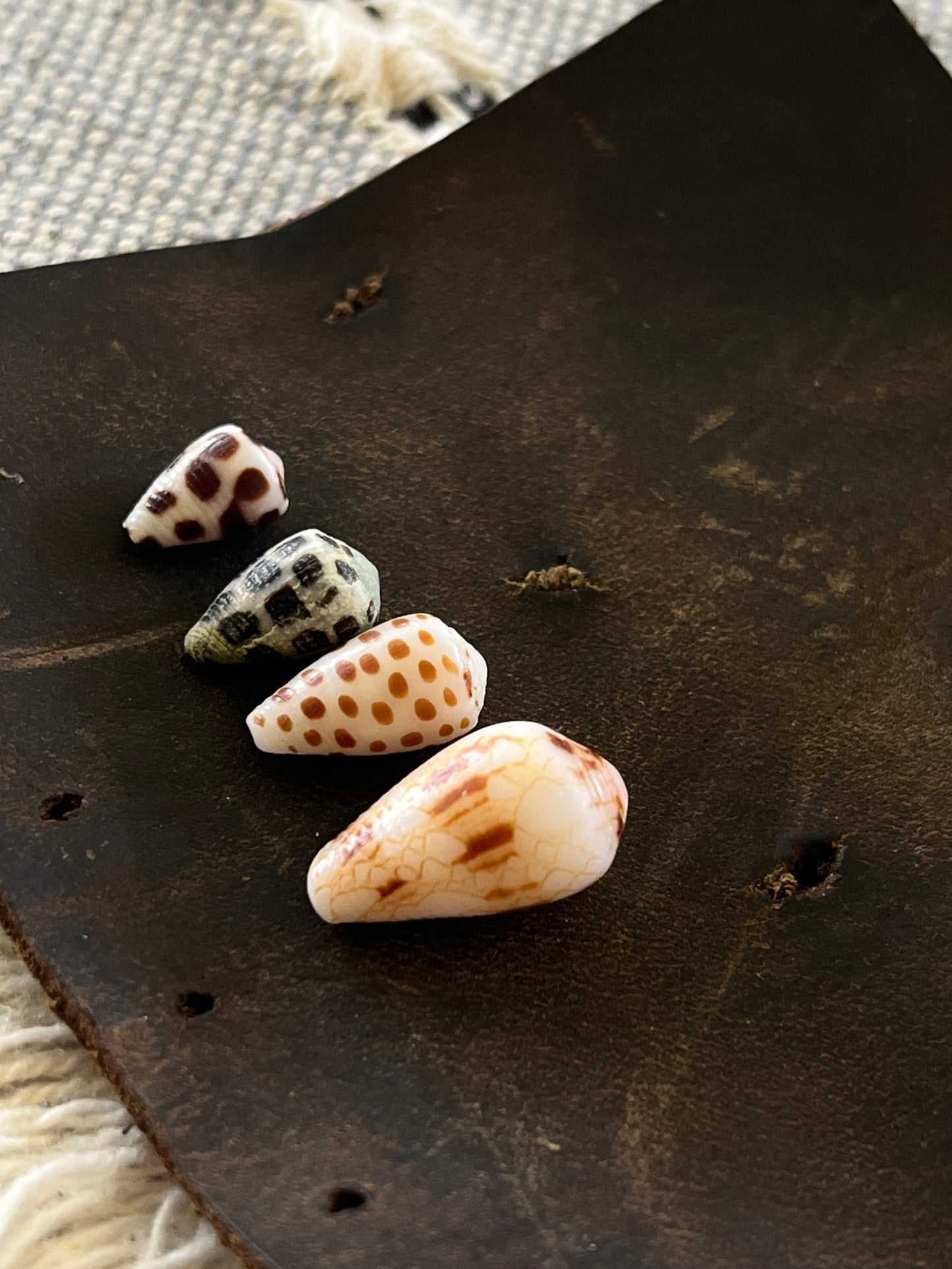 Private Group Workshops