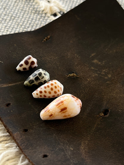 Private Group Workshops