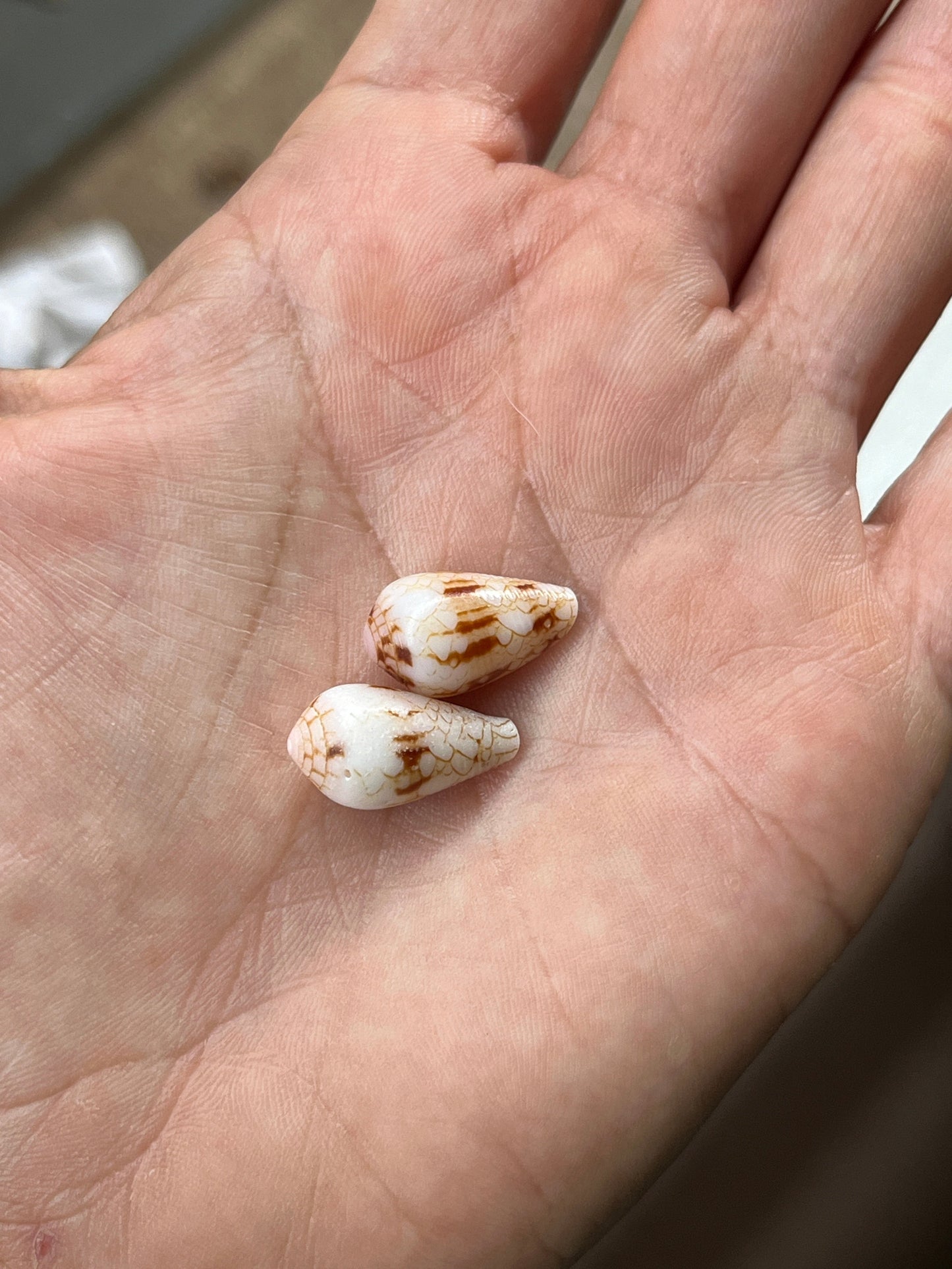 Private Group Workshops