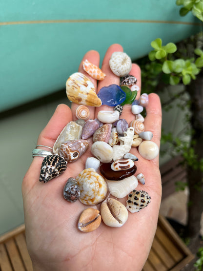 Private Group Workshops