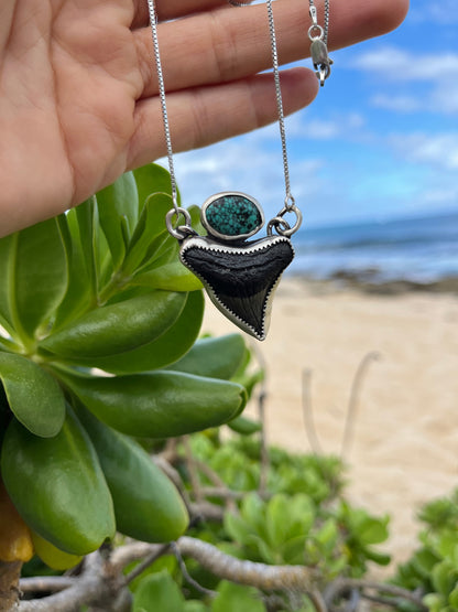 Hand Forged Shark Tooth & Turquoise Necklace