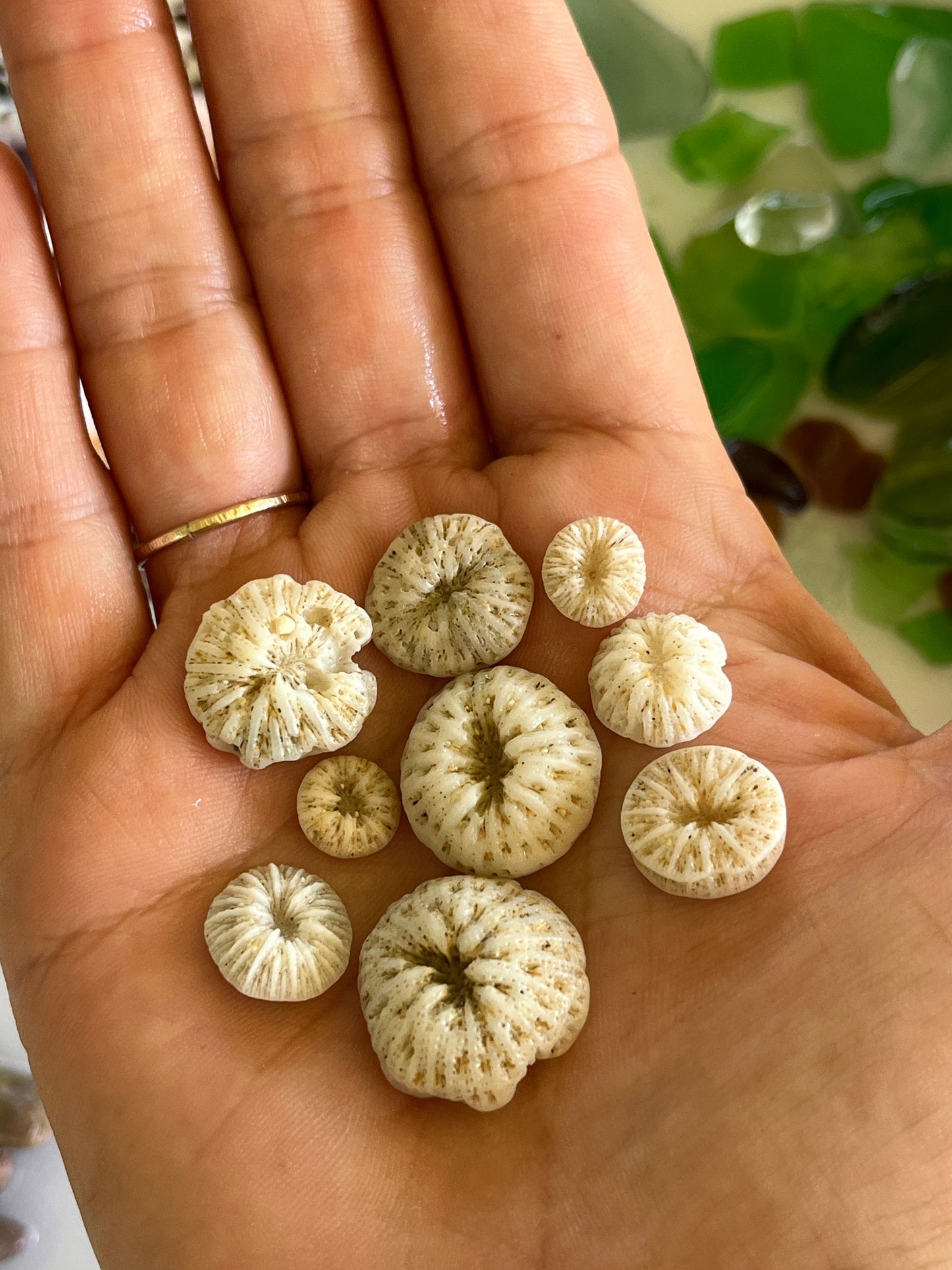 Private Group Workshops