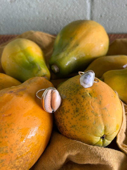 Hawaiian Money Cowrie Gold Ring