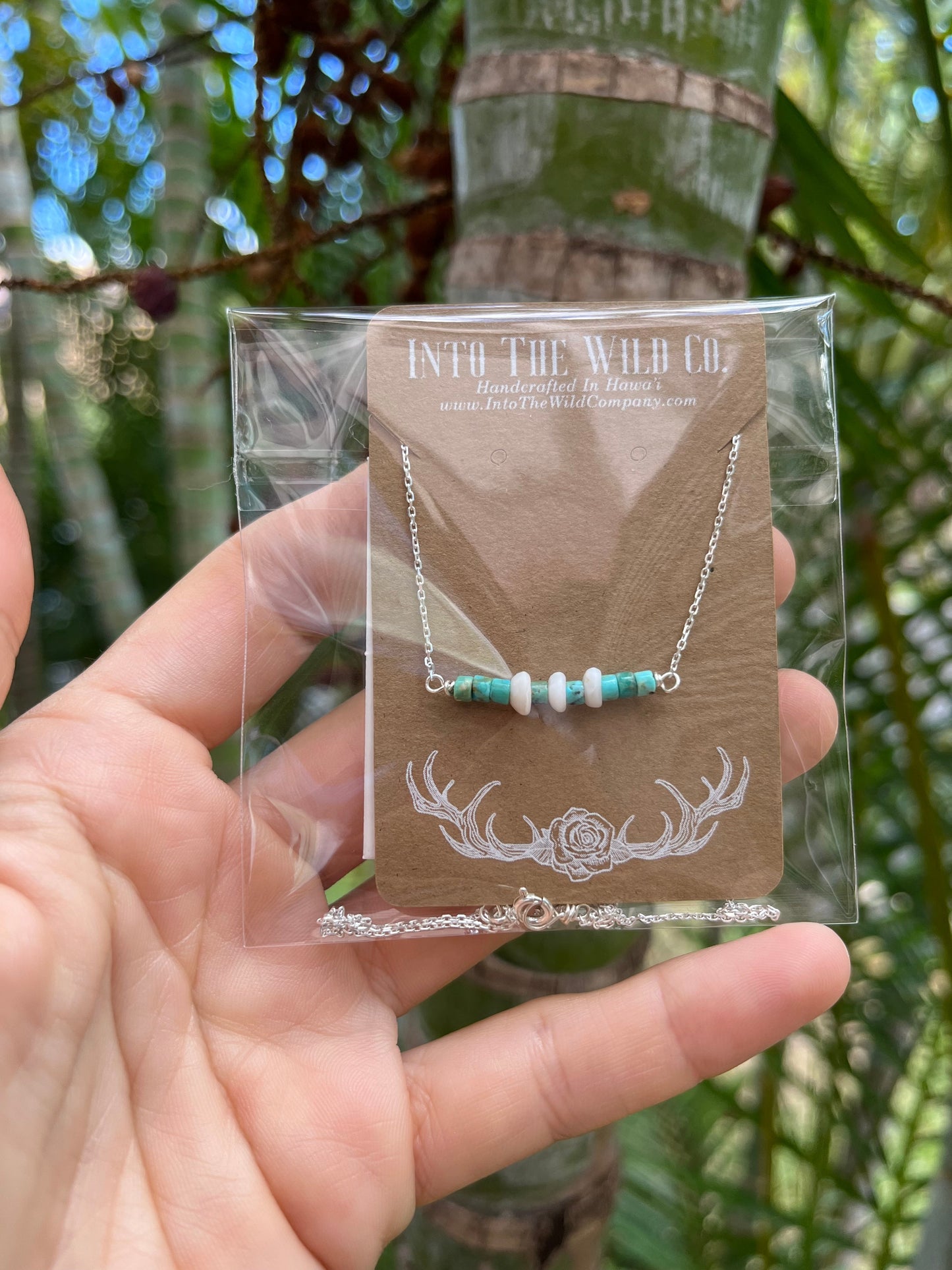 The Merchant Necklace in puka shell