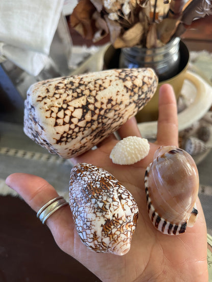 Private Group Workshops