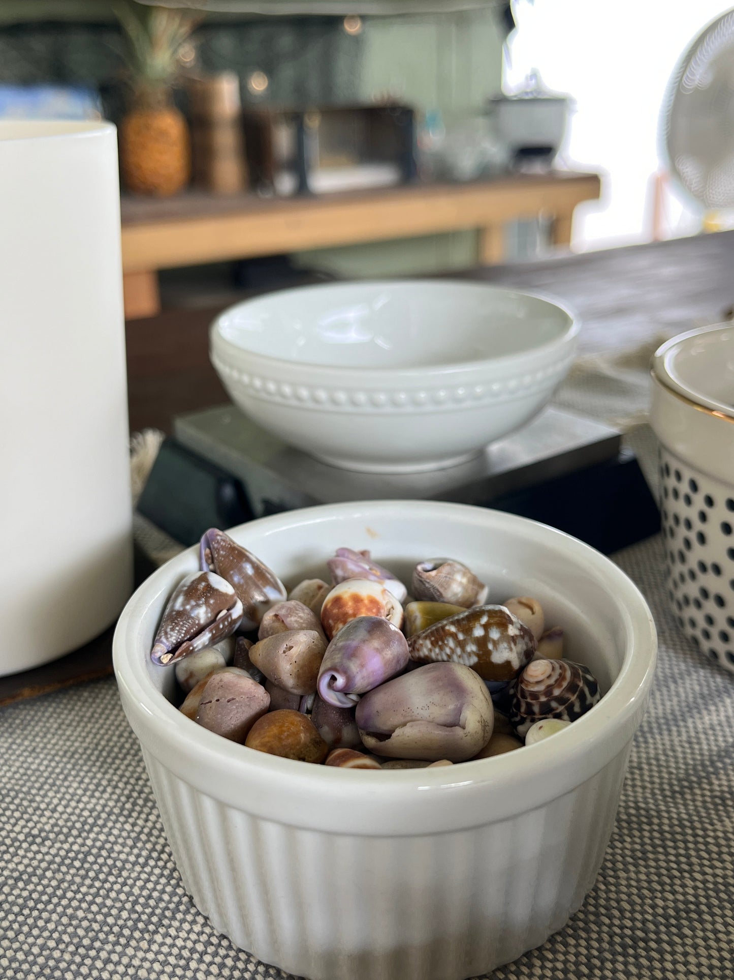 Private Group Workshops