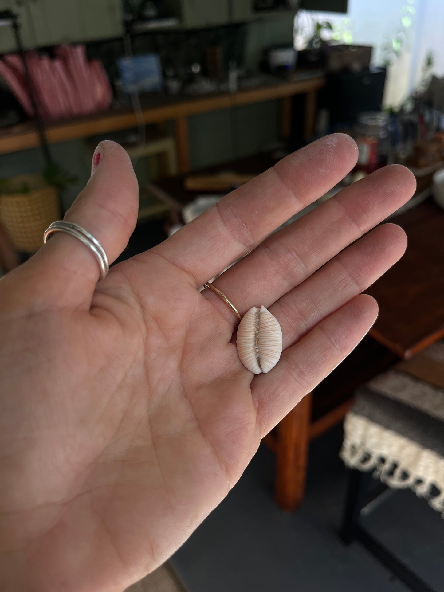 Granulated Cowrie Ring RTS