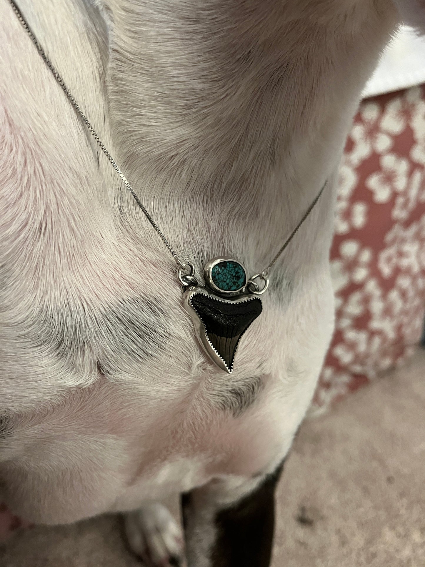 Hand Forged Shark Tooth & Turquoise Necklace