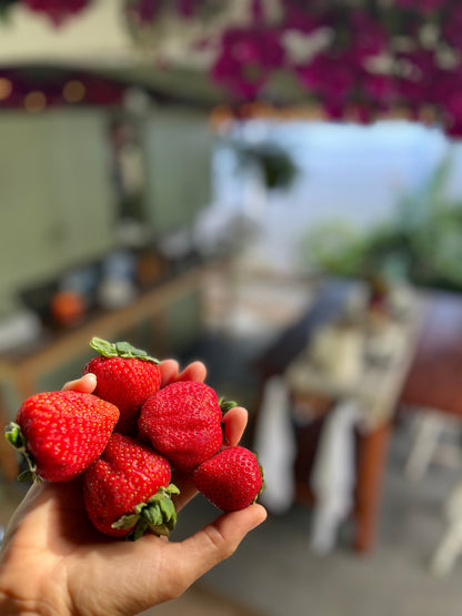 Private Group Workshops