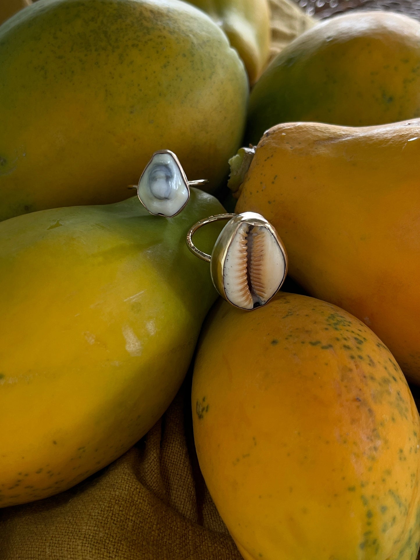 Hawaiian Money Cowrie Gold Ring