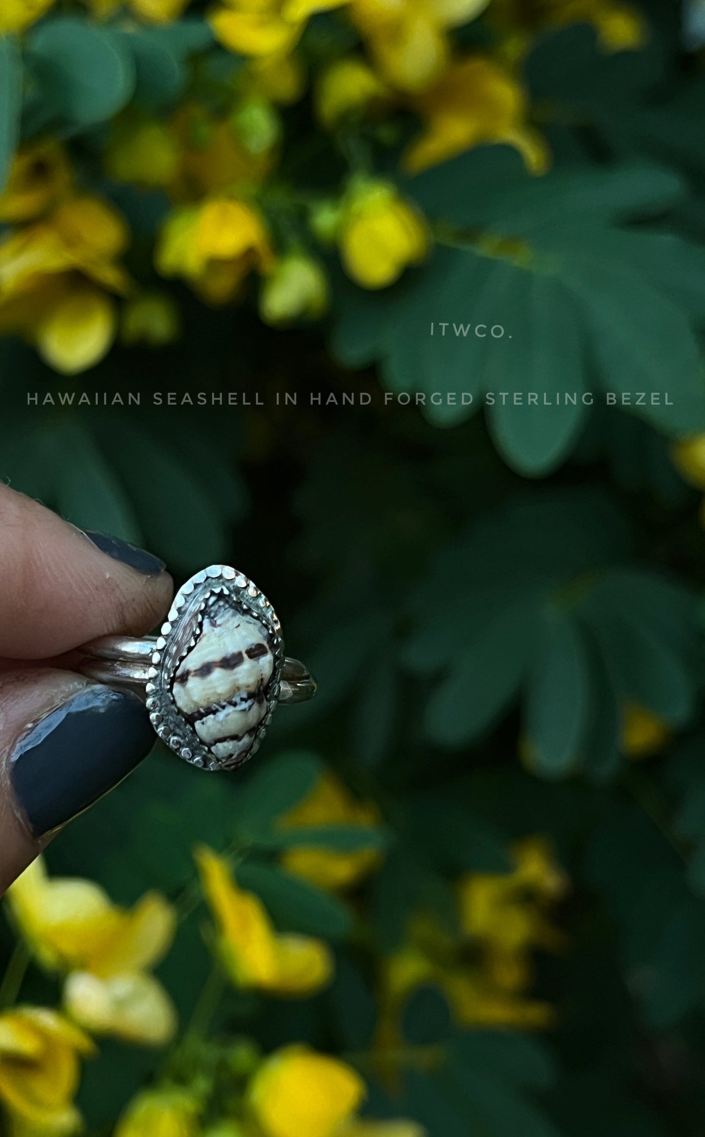 Private Group Workshops