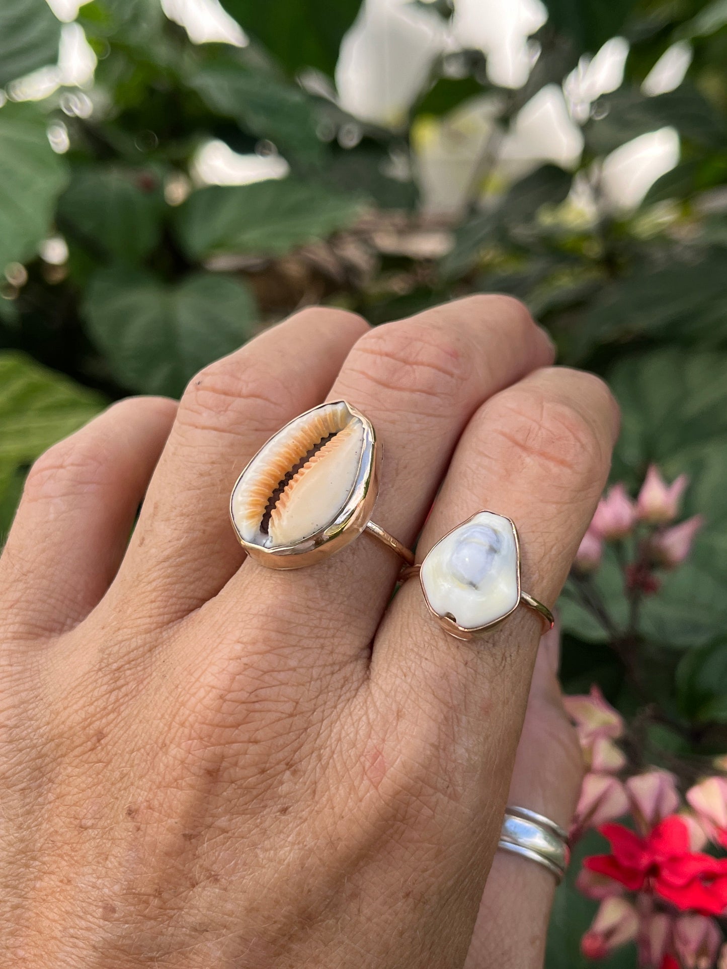 Hawaiian Money Cowrie Gold Ring