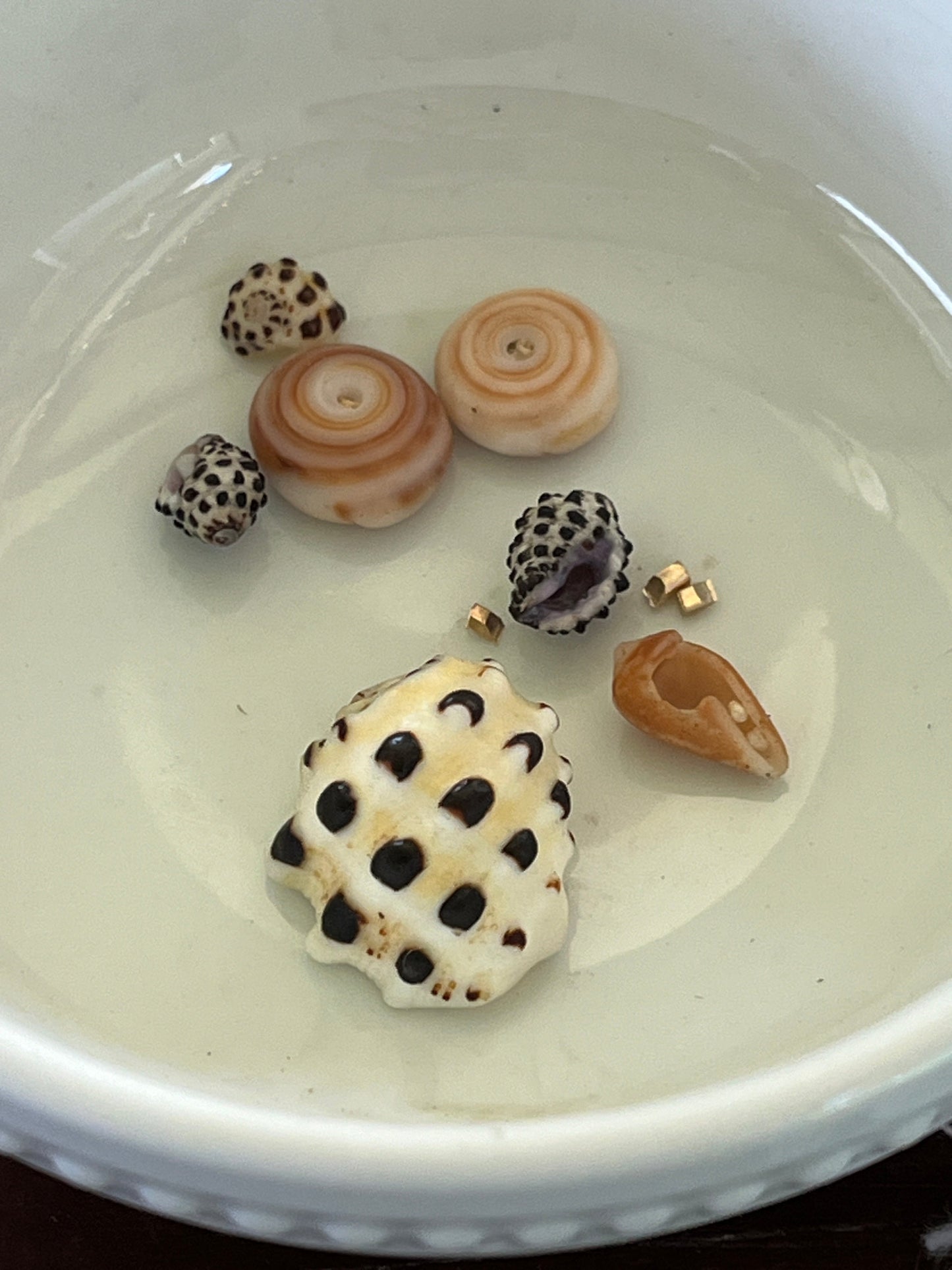 Private Group Workshops