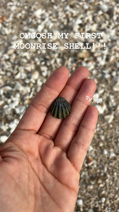 Private Group Workshops