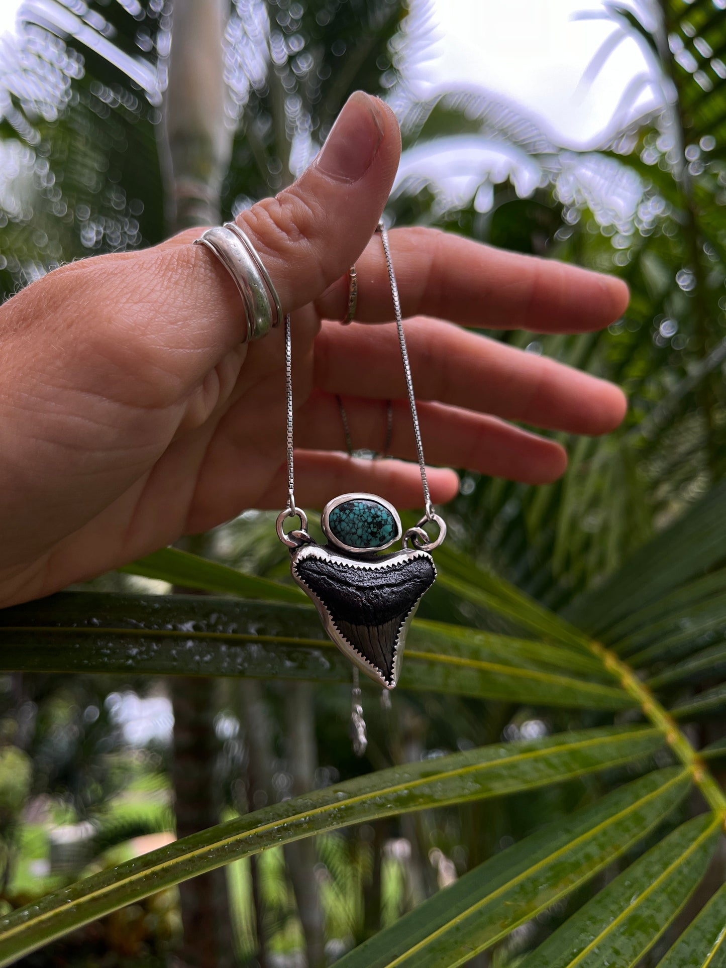 Hand Forged Shark Tooth & Turquoise Necklace