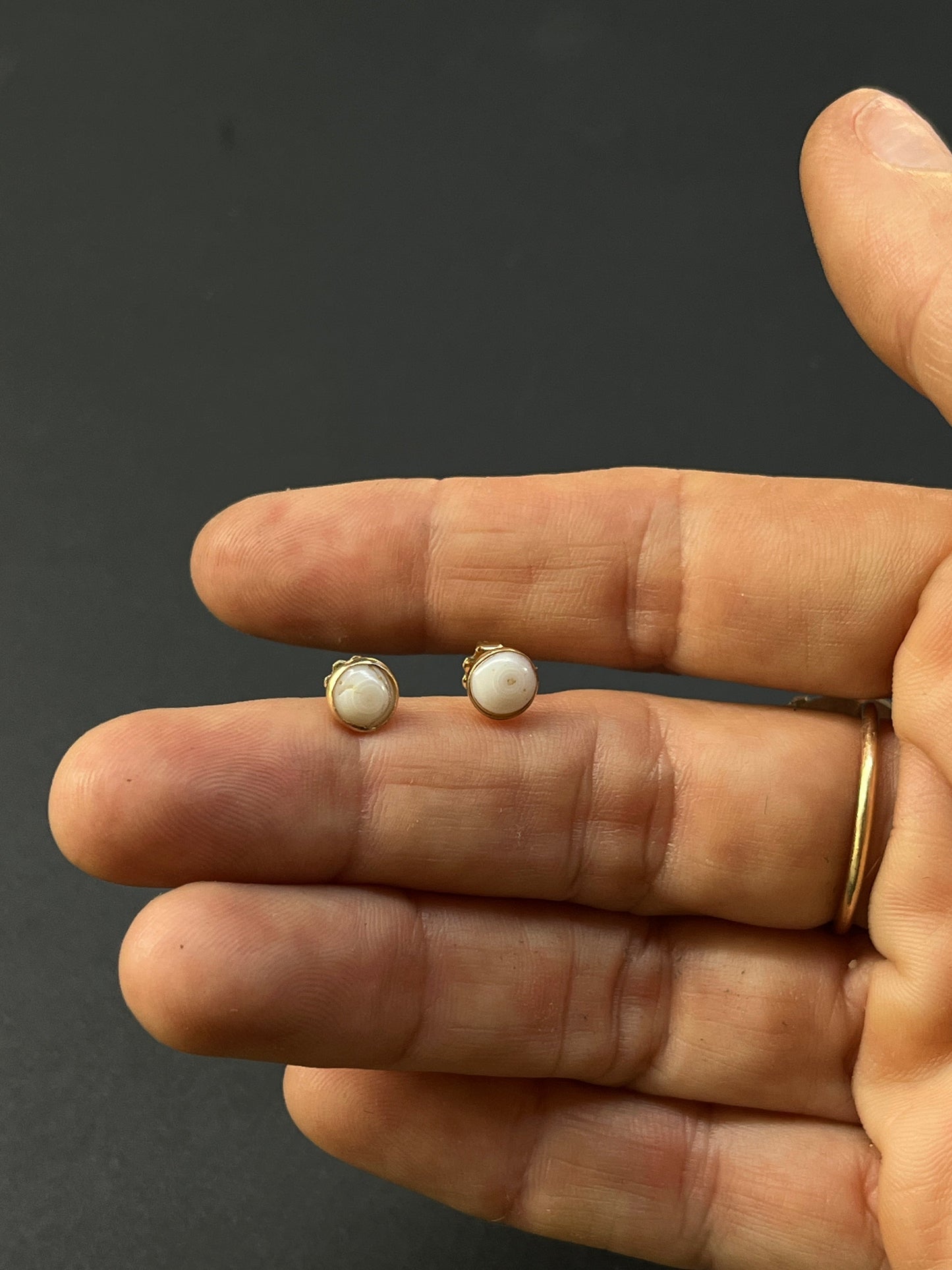 14k gf Mini Puka Shell Studs