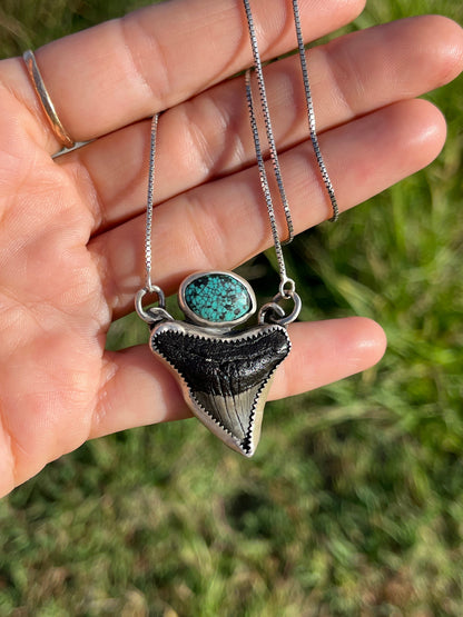 Hand Forged Shark Tooth & Turquoise Necklace