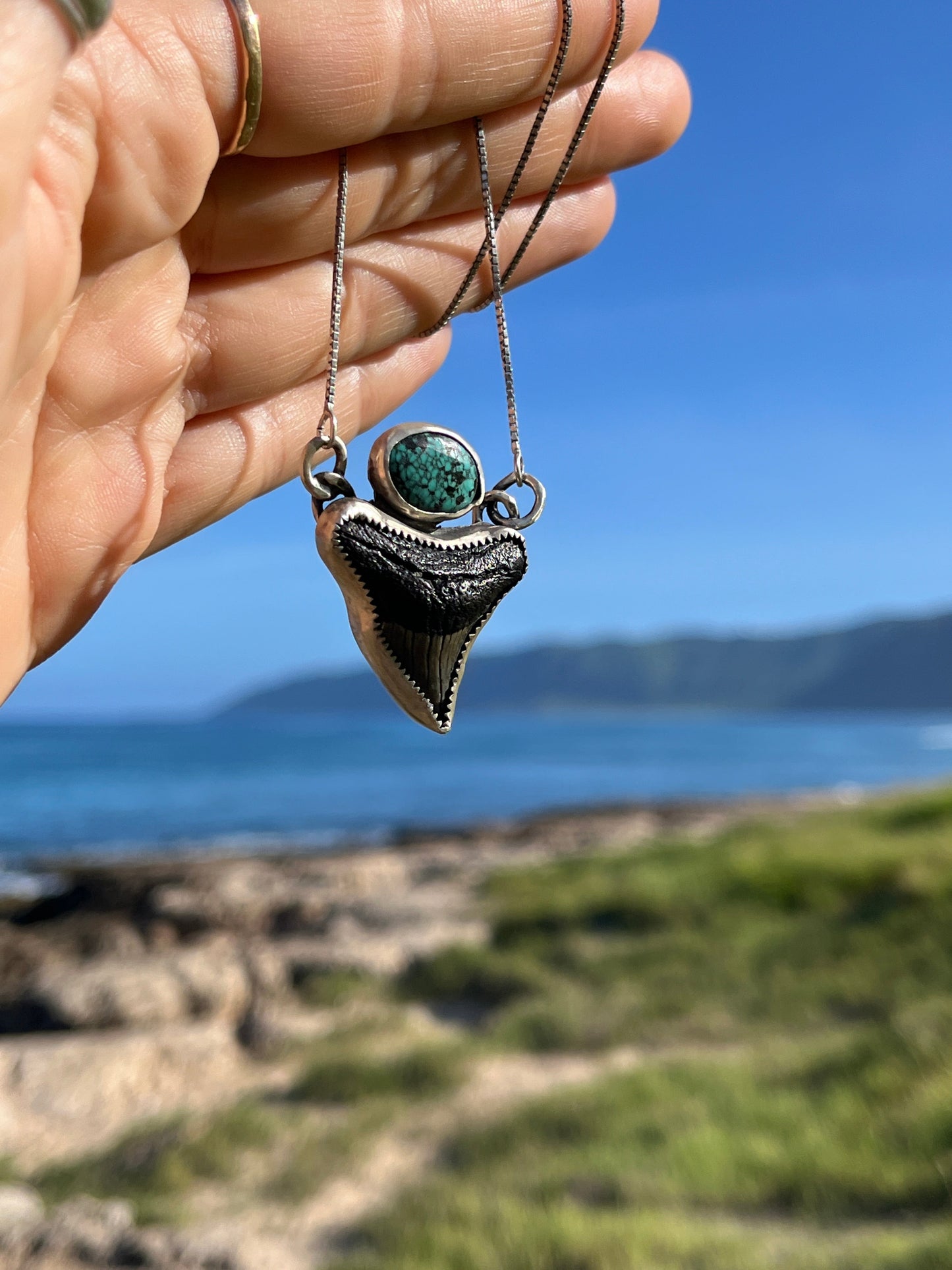 Hand Forged Shark Tooth & Turquoise Necklace