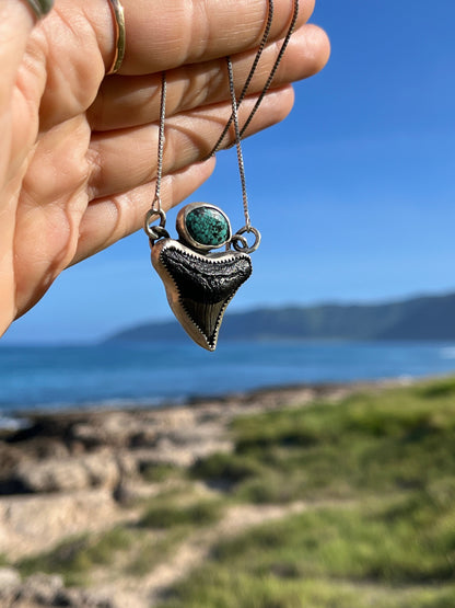 Hand Forged Shark Tooth & Turquoise Necklace