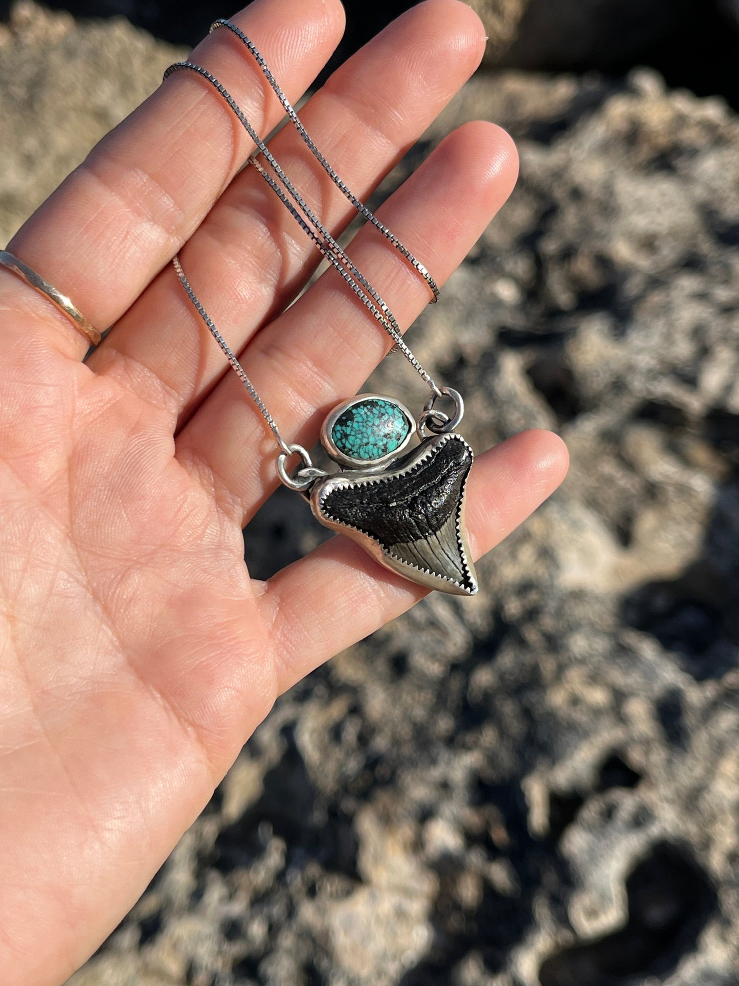 Hand Forged Shark Tooth & Turquoise Necklace
