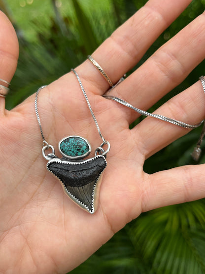 Hand Forged Shark Tooth & Turquoise Necklace