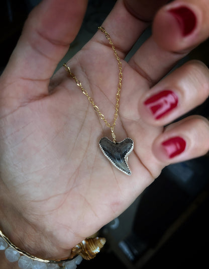 Private Group Workshops